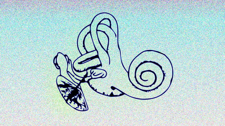 black line drawing of a cochlea, with pink and blue gradient background