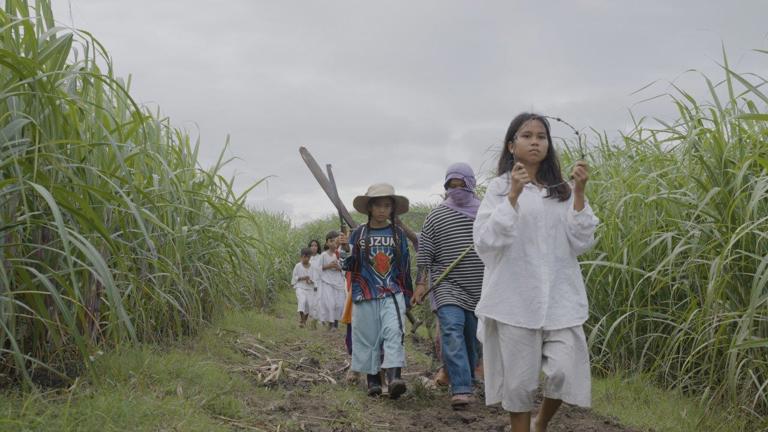 A group of children walk through a sugar plantation field. Each carries a different item. The lead child carries a ring of barbed wire. Another child carries a machete for cutting sugar.