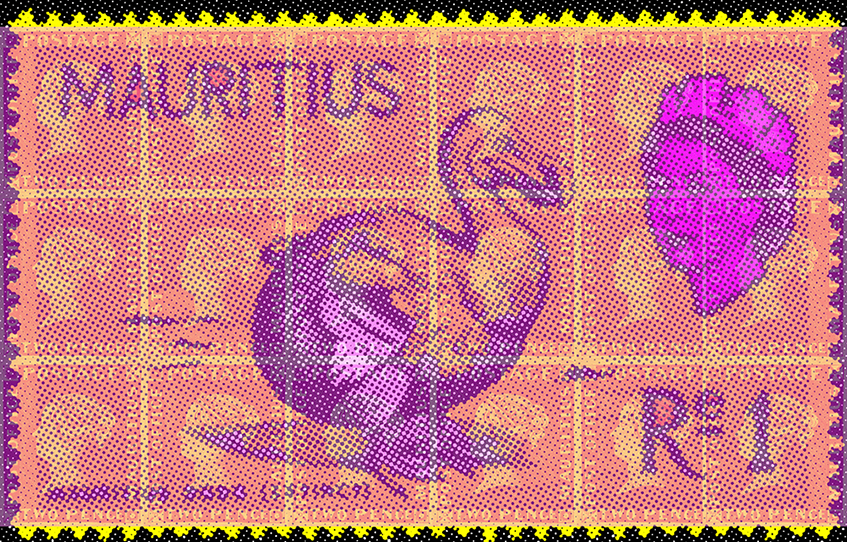 5 Dodo Raphus Cucullatus Copy