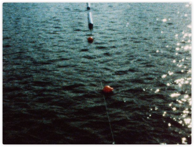 Four buoys float on the surface of the sea under the shimmering afternoon sunlight